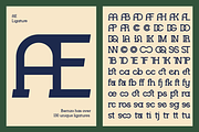 Brenzo - Slab Serif, a Slab Serif Font by Valentino Vergan (Thumbnail 16 of 20)