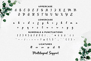 Matteny Angels Script Font, a Script Font by Multype Studio (Thumbnail 6 of 7)