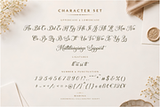 Madina Modern Calligraphy Script, a Script Font by Ghuroba Studio (Thumbnail 9 of 11)