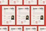 Riverstills - Resume, a Resume Template by Poetjoek Creative (Thumbnail 3 of 3)
