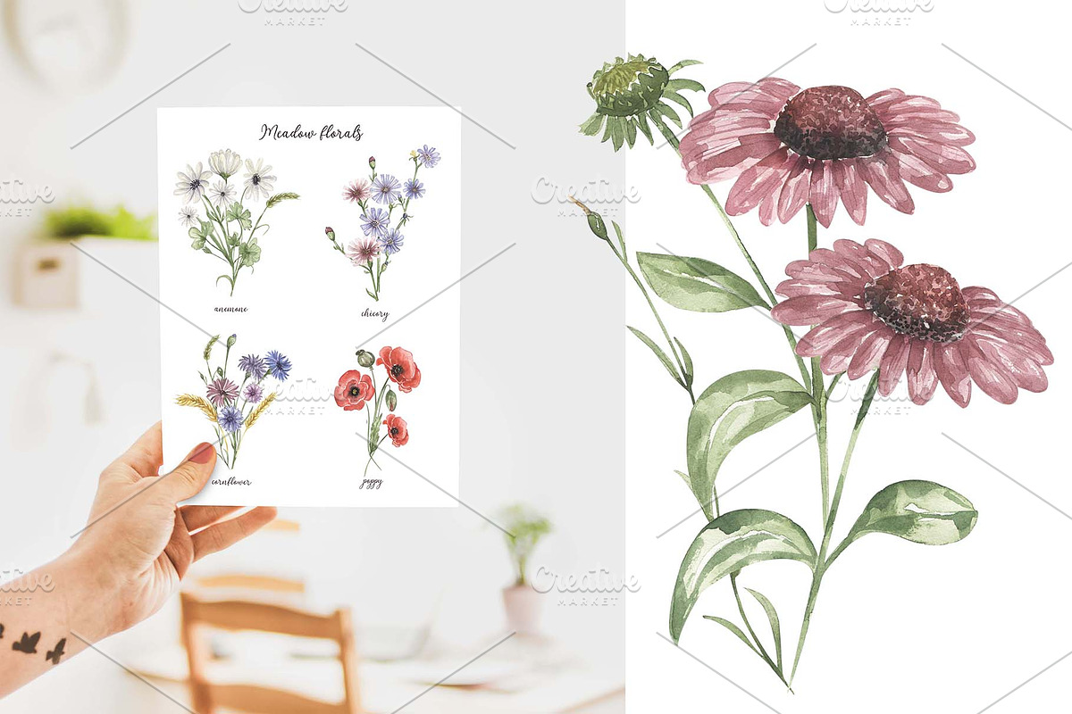 Watercolor Field Flowers Collection, a Decorative Illustration by MayaNavits (Photo 10 of 16)