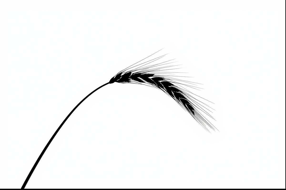 Wheat Clipart Vector Pack, an Illustration by jahid234 (Photo 9 of 9)