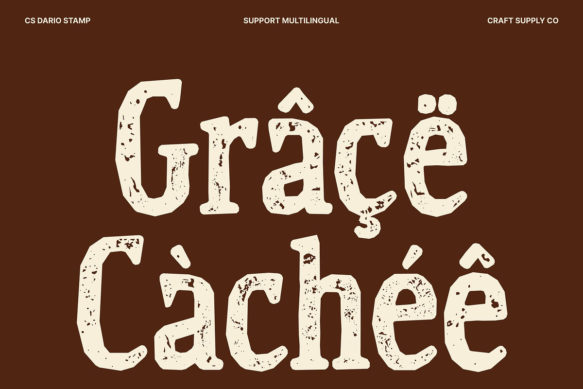 CS Dario Stamp, a Serif Font by Craft Supply Co. (Photo 7 of 8)