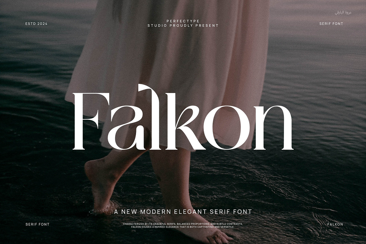 Falkon Modern Serif Font, a Serif Font by Perfectype (Photo 1 of 8)