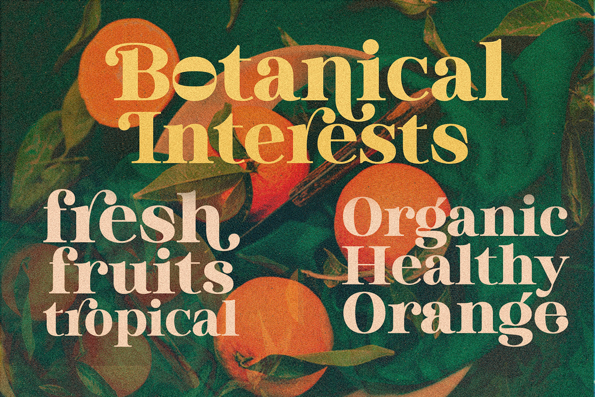 Binggo Wood Display, a Serif Font by Genesis Lab (Photo 5 of 14)