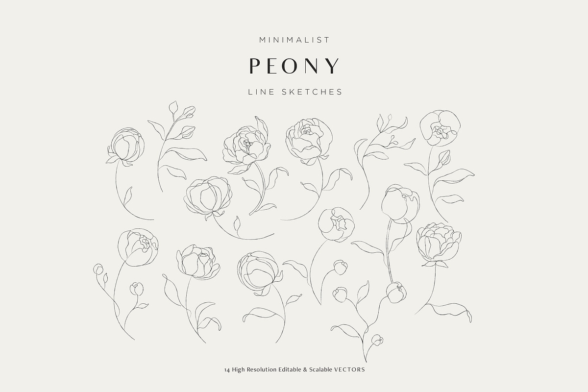 Minimalist Peony Line Sketches, a Decorative Illustration by Galerie Design Studio (Photo 9 of 10)
