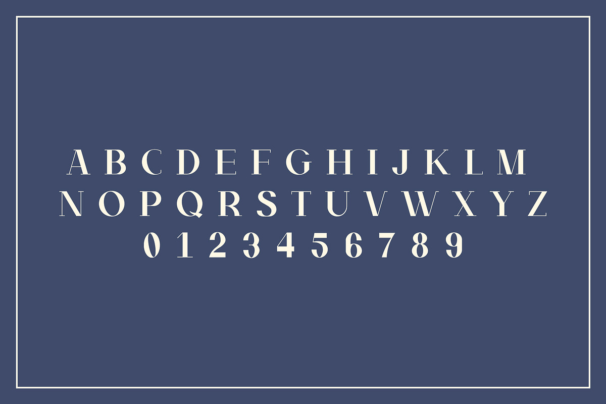 Lavish Times - Serif Font Family, a Serif Font by dylanchiadesigns (Photo 6 of 7)