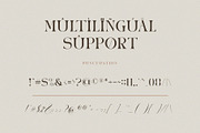 AURA LUXESS, a Serif Font by ToniStudio (Thumbnail 10 of 10)