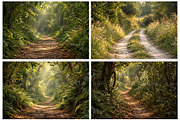 Green Path Digital Backdrop BUNDLE, a Layer Style Add-On by Wild Honey Design Co. (Thumbnail 3 of 4)