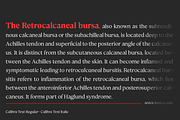 Calibra Text 18 Fonts- Save 40%, a Serif Font by Mulkan Nazir (Thumbnail 3 of 12)
