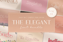 The Elegant Font Bundle - Vol 01