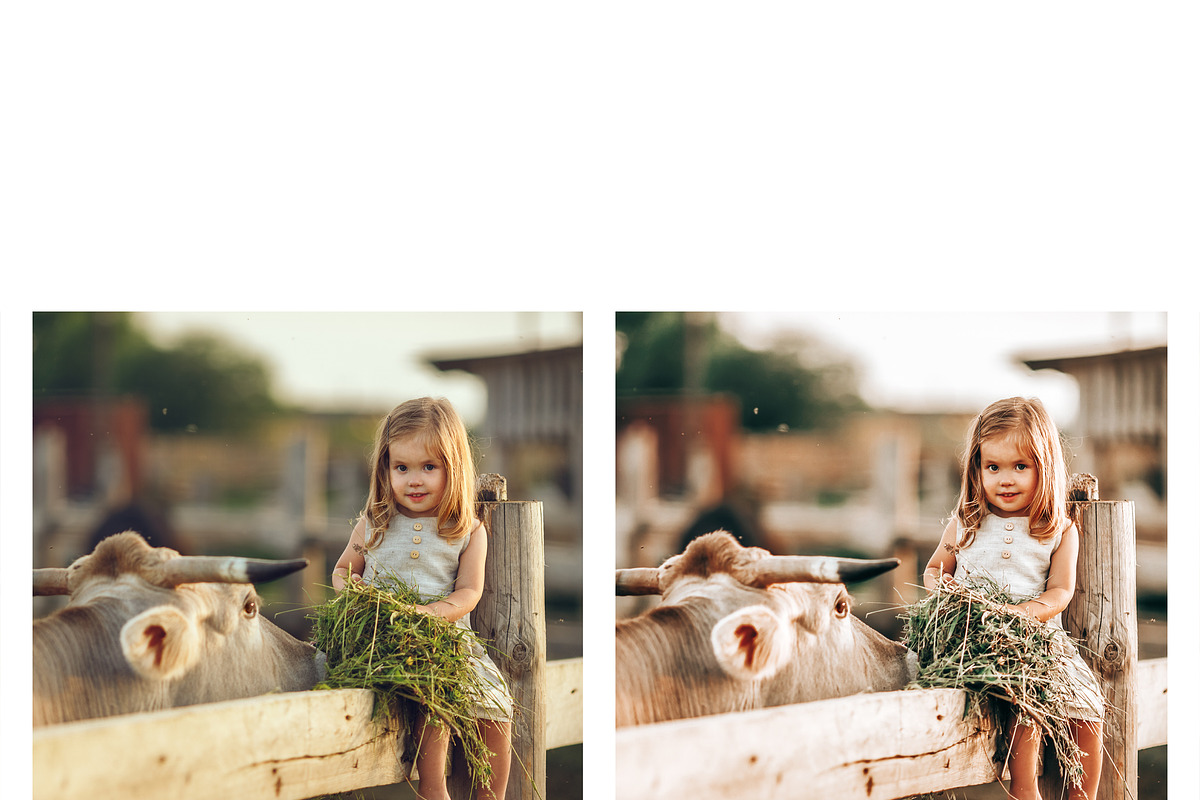 10 Homely Lightroom Presets, a Preset Add-On by MockTurtleStudio (Photo 6 of 8)