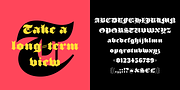 Perva, a Slab Serif Font by Eller Type (Thumbnail 8 of 8)