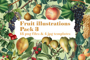 Fruit Illustrations pack 3
