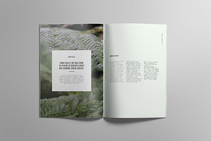 RAINFOREST Brochure / Portfolio