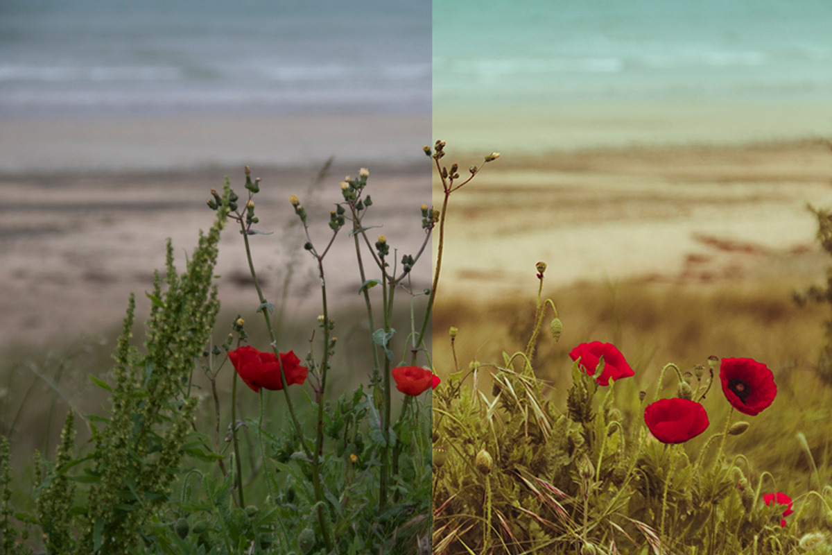 Impressions 10+2 Fineart LR Presets preview 2