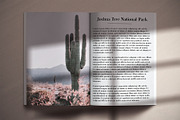 Francois Modern Serif Font, a Serif Font by Fancy Malone (Thumbnail 6 of 12)