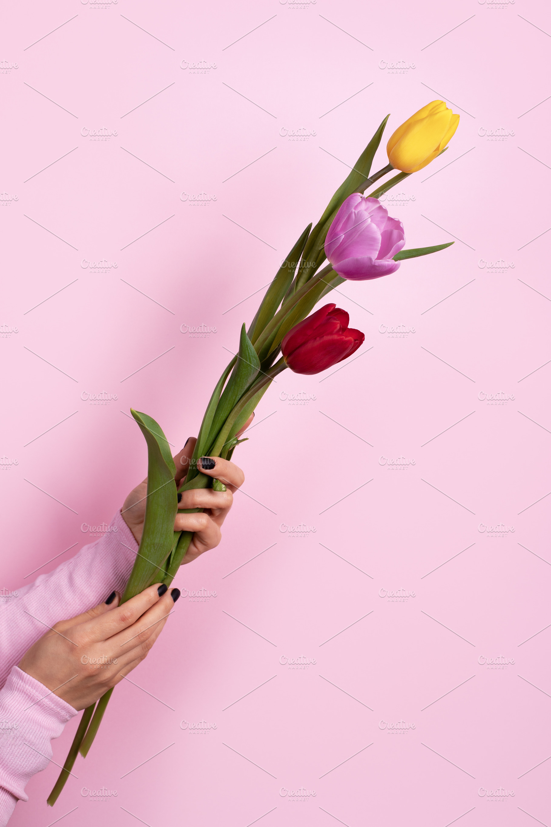 Hand holding red, yellow, and purple tulips against a pastel pin, a Holiday Photo by Ales Munt