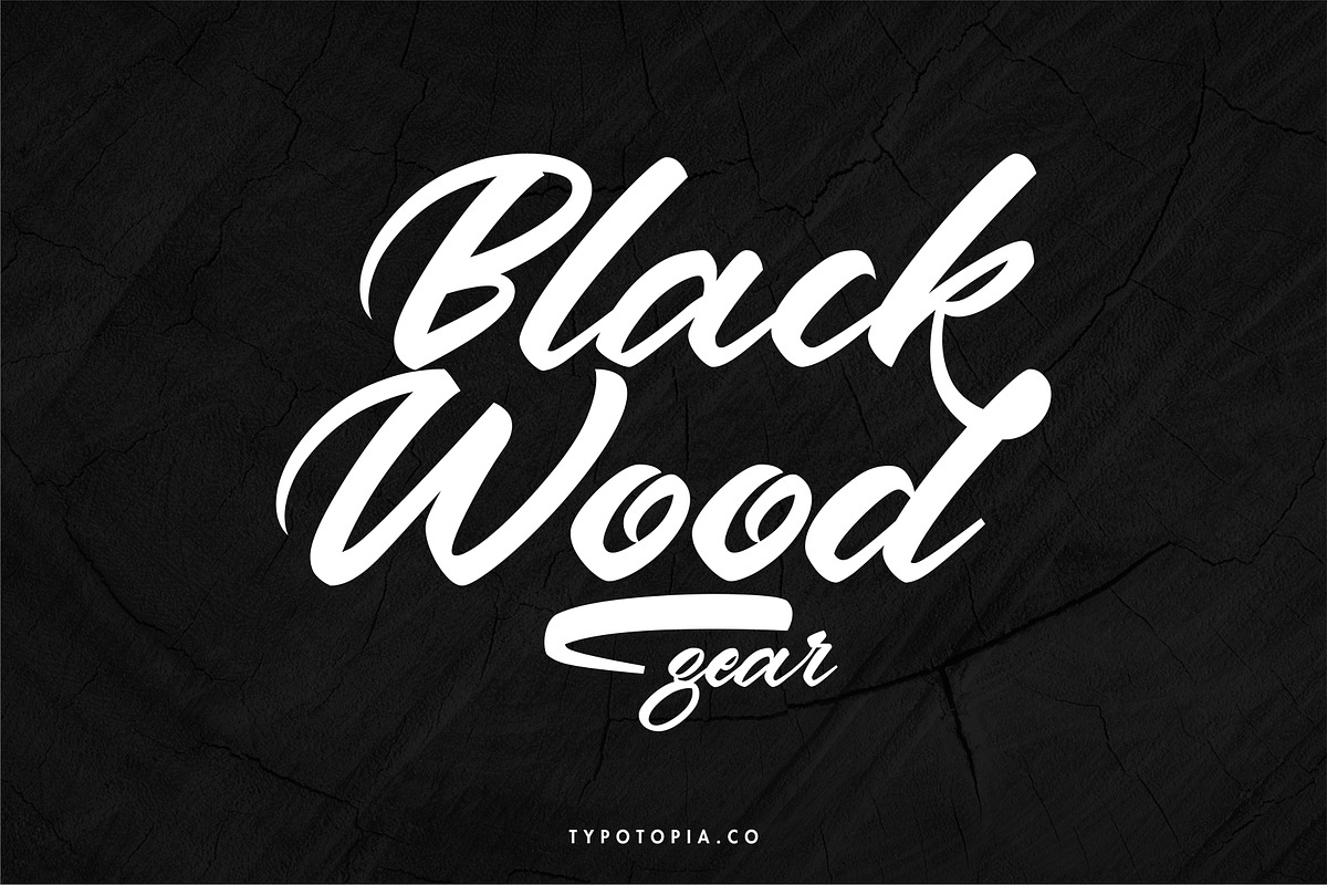 Andalas, a Script Font by edukka (Photo 5 of 9)