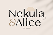 Luxenta - Elegant Sans Serif Family, a Sans Serif Font by Yukita Creative (Thumbnail 5 of 14)