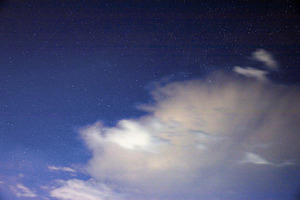 Starry night sky with scattered clouds illuminated by moonlight, offering a ser, an Animal Photo by Ales Munt