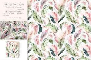 Exotic, Watercolor Tropical Patterns