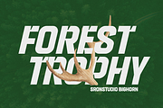 Bighorn - Bold Strong Font, a Sans Serif Font by Sronstudio (Thumbnail 5 of 12)