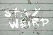 Spray the City SVG Fonts, a Font by tomatstudio (Thumbnail 3 of 8)
