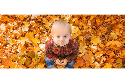 Little kid boy in the park on autumn, a Nature Photo by yanadjana