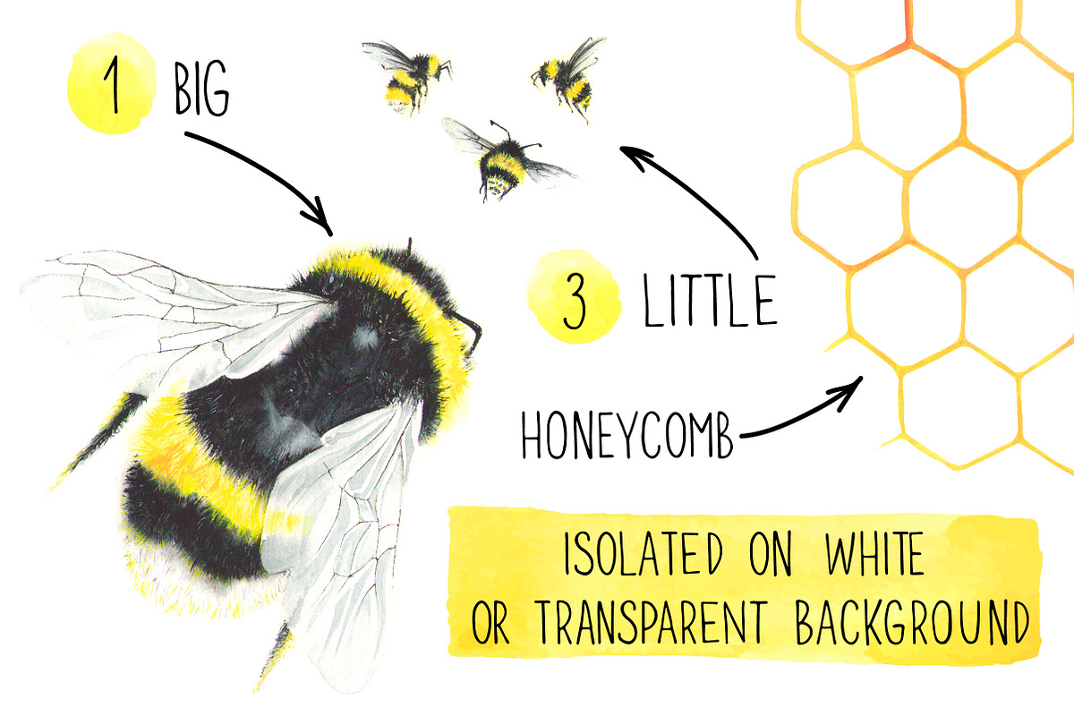 Watercolor bees, an Illustration by Olga Bonitas (Photo 2 of 7)