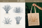 Agave hand drawn vector illustration, an Illustration by Fat Hamster (Thumbnail 2 of 7)