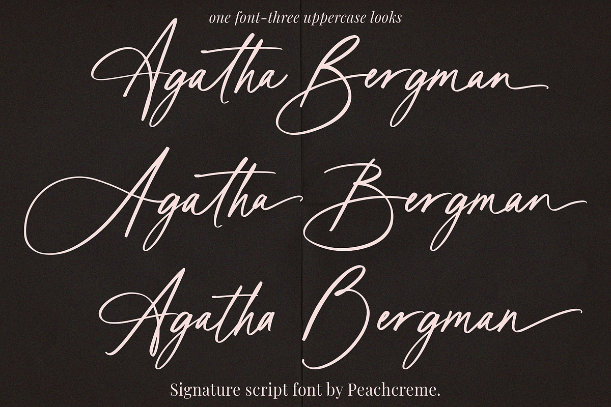 Agatha Bergman // Luxury Signature, a Handwritten Font by PeachCreme (Photo 3 of 18)