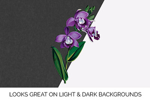 Orchid Clipart