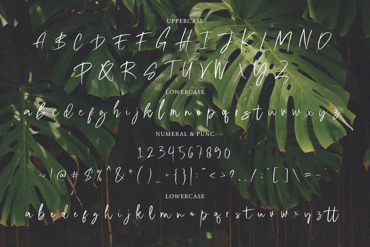 Valine Brush, a Handwritten Font by Eltypesstudio (Photo 6 of 8)