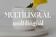 Qittney Unique Ligature Serif Typefa, a Serif Font by yaqublekker (Thumbnail 7 of 8)