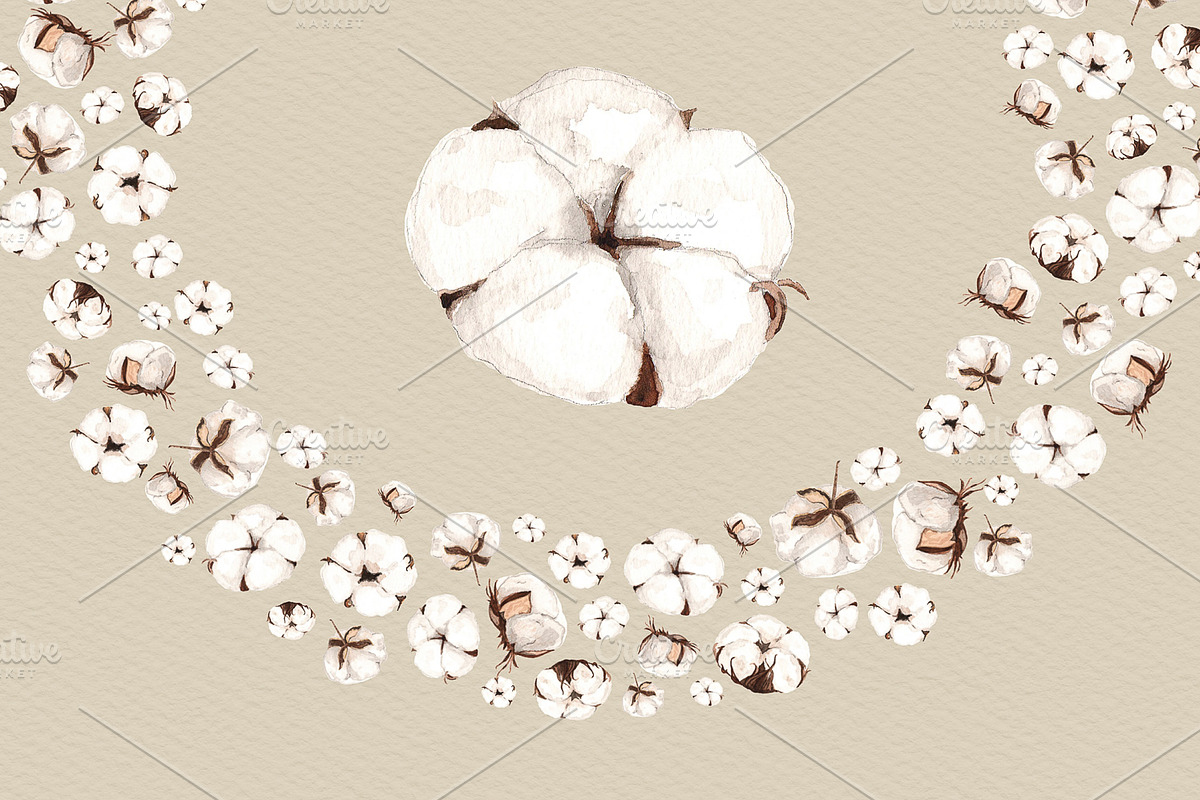 NEW! Cotton flowers watercolor, an Illustration by Klipa Illustrations (Photo 2 of 2)