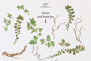Berries, an Illustration by patriziamoscone (Thumbnail 3 of 9)