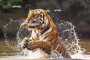 25 Analog FX Photoshop Action Bundle, an Action Add-On by Studio Retouch (Thumbnail 47 of 59)
