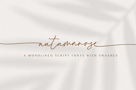 Autumnrose A Chic Monoline Script, a Script Font by Prestige Artsy Studio