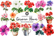 Geranium Flower Watercolor Clipart, an Illustration by SinaCreation (Thumbnail 1 of 5)