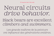 DT Augustina Slab 5 Subfamily, a Slab Serif Font by Deveze Type Foundry (Thumbnail 4 of 31)