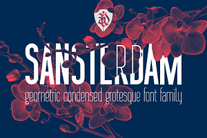 Sansterdam 4 Fonts Pack