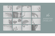 Animated Shadow Overlay Scene Mockup, a Product Mockup by Oui Create Studio (Thumbnail 7 of 17)