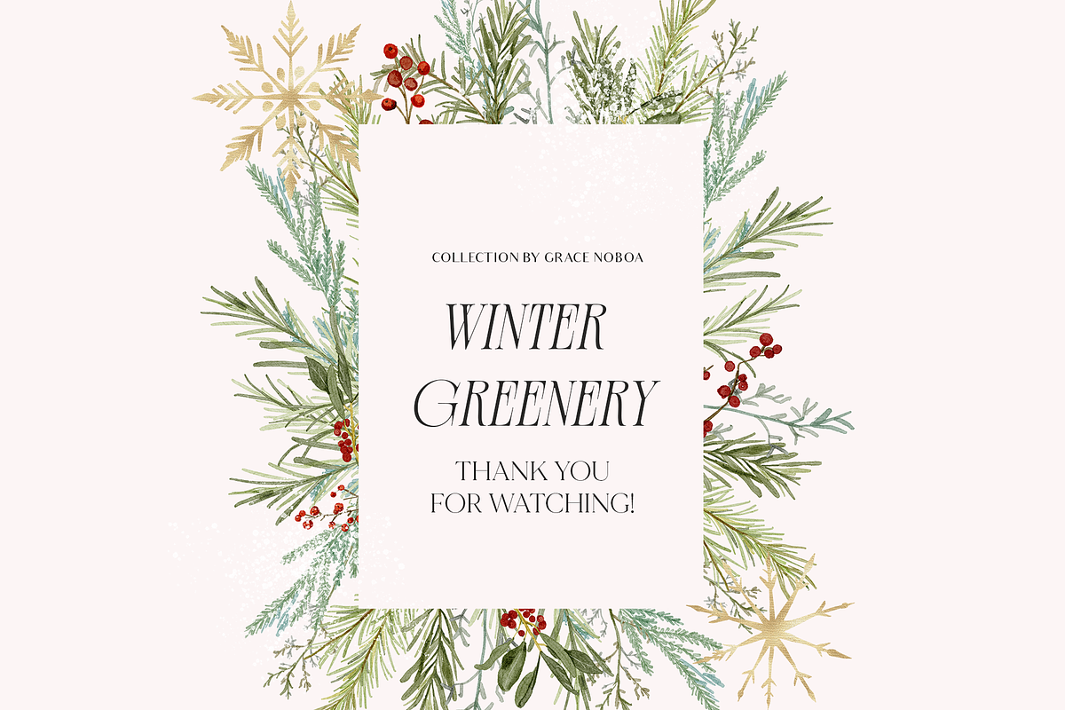 Winter Christmas Greenery Collection, a Decorative Illustration by Grace Noboa Illustrations (Photo 8 of 8)
