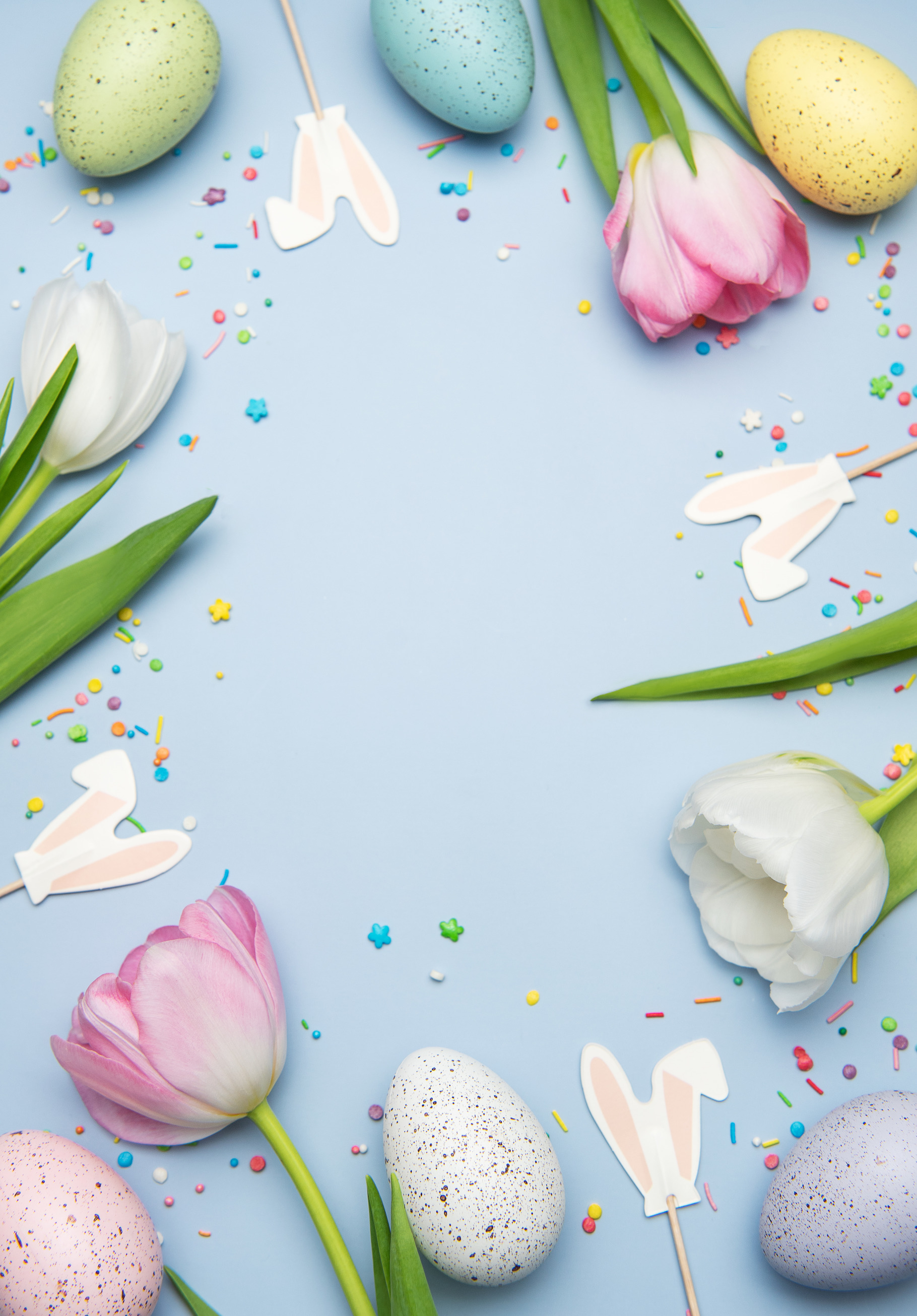 Easter eggs and tulips creating a frame on light blue background, a ...