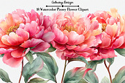 Watercolor Peony Flower Clipart, an Illustration by GatewayDesign (Thumbnail 1 of 5)