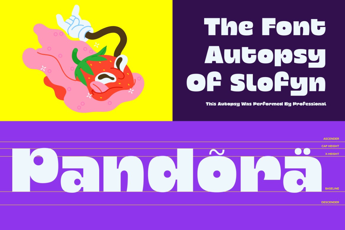 Slofyn, a Sans Serif Font by graphicook (Photo 5 of 10)