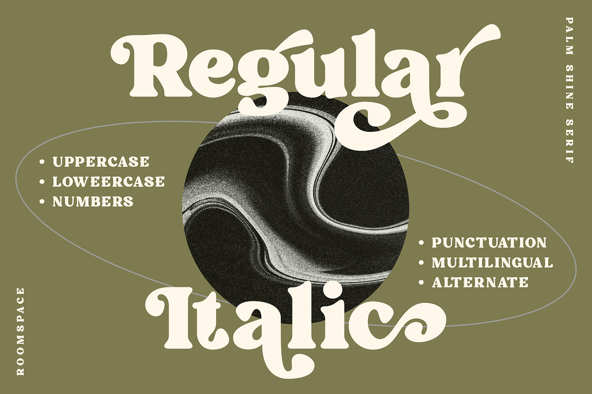 Palm Shine - Bold Swirl Serif, a Serif Font by roomspace creative lab (Photo 4 of 13)
