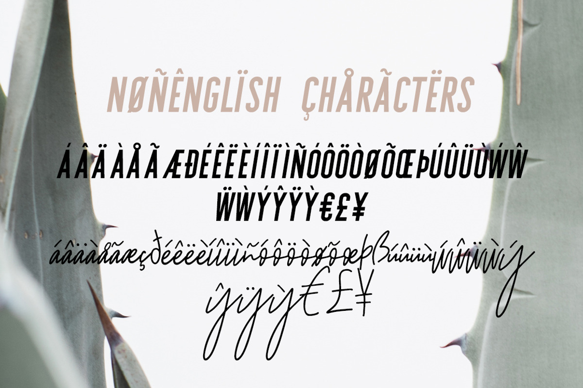 Sydney | Font Duo + 12 Free Logos, a Sans Serif Font by Jen Wagner Co (Photo 12 of 13)