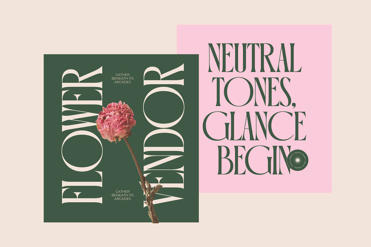 Orleans Brightens Modern Serif, a Serif Font by timelesstype.co (Photo 5 of 15)